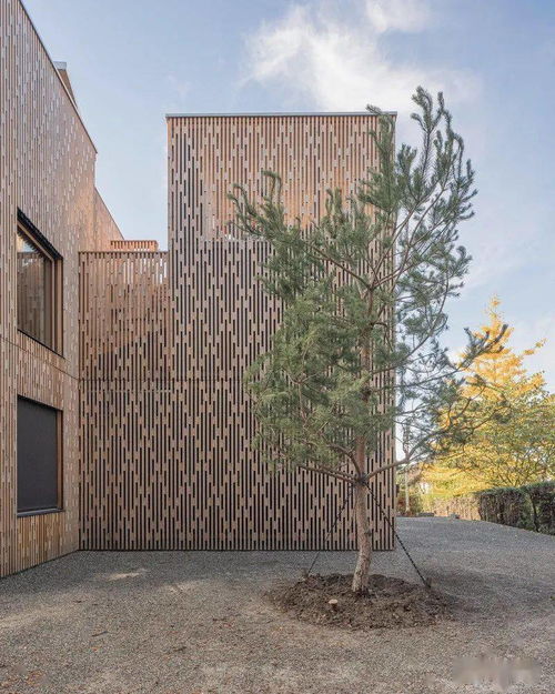 木质新衣 清水混凝土建筑的生态现代化转型