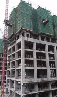 53刀下的秘密 混凝土结构工程解剖实录